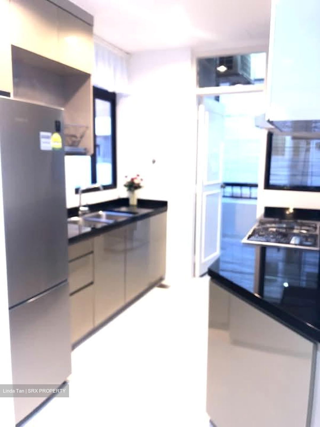 Tanglin Park (D10), Condominium #543588721